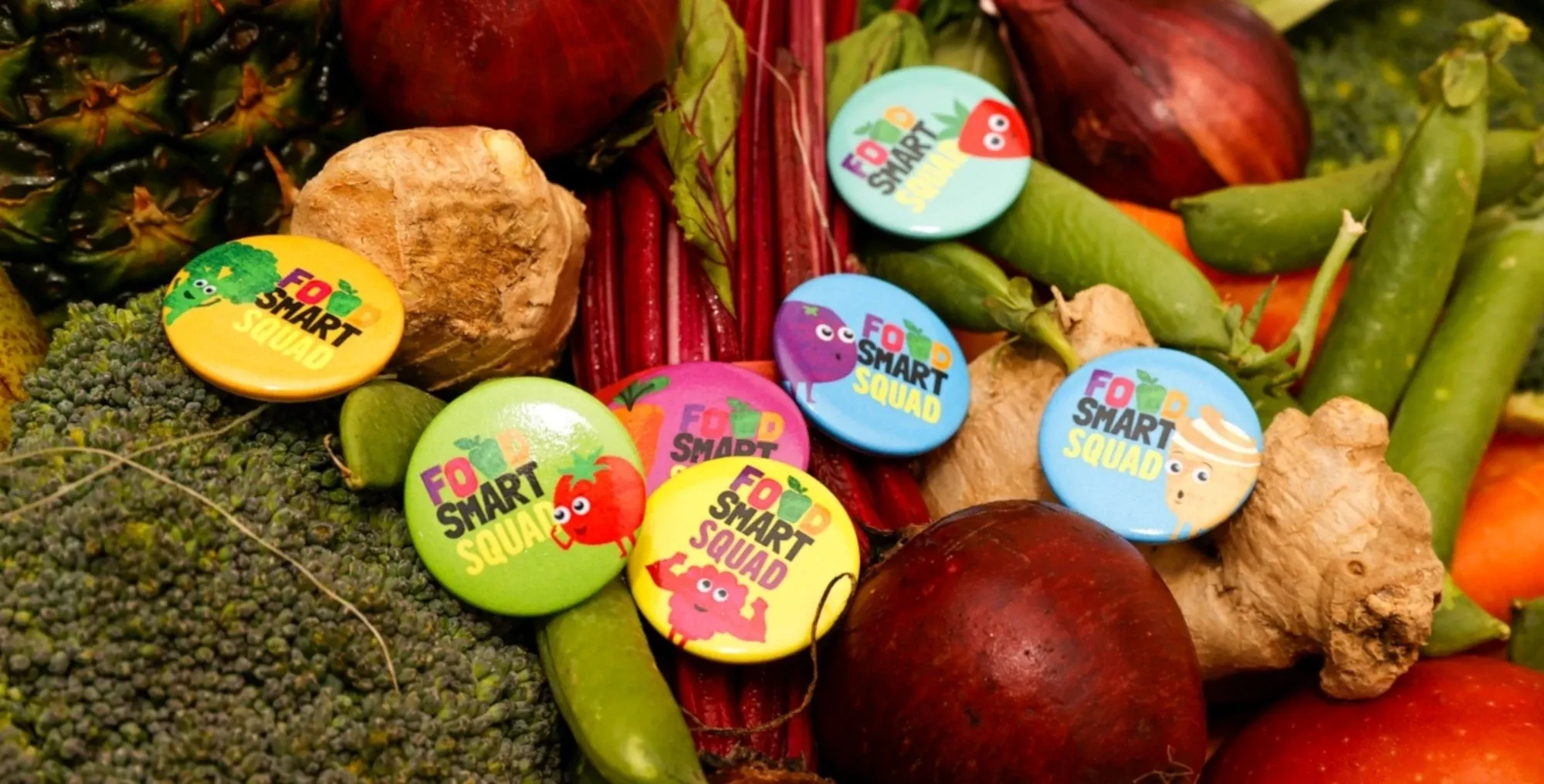 The role of school catering companies in promoting sustainability in school food systems