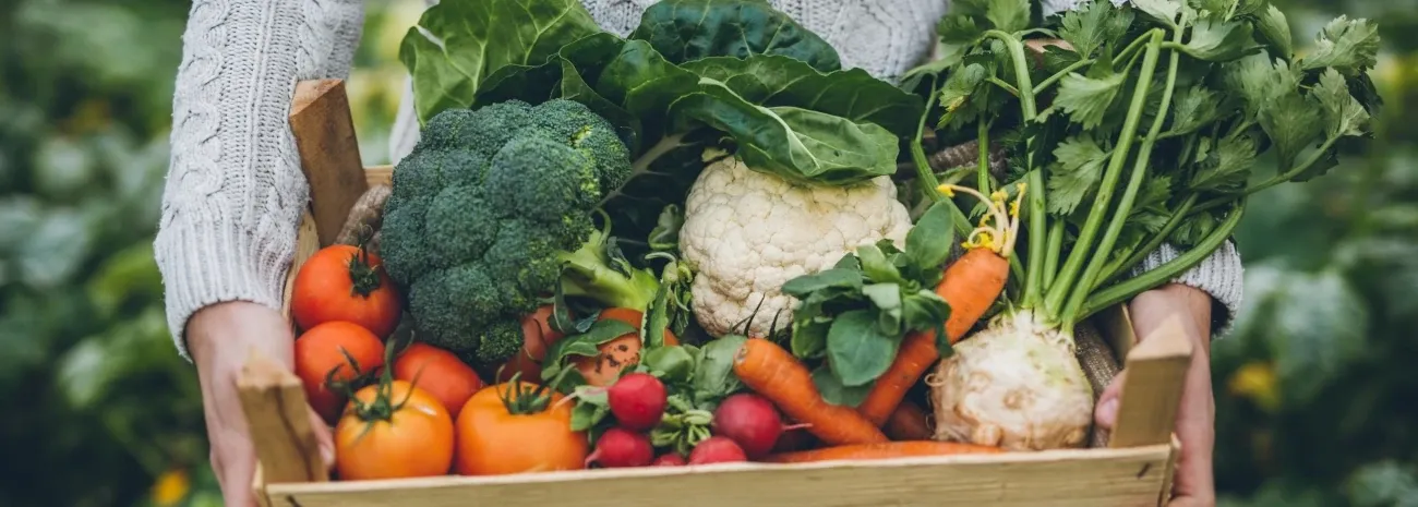 The importance of nutrition in school meals